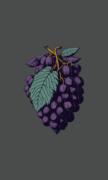 Drawing Grapes png images | PNGWing